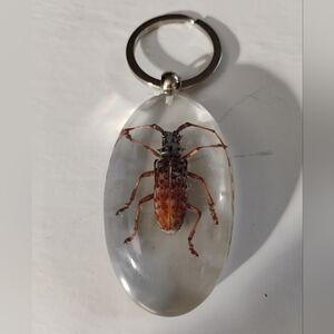 Massive Spotted Longhorn Beetle Keychain